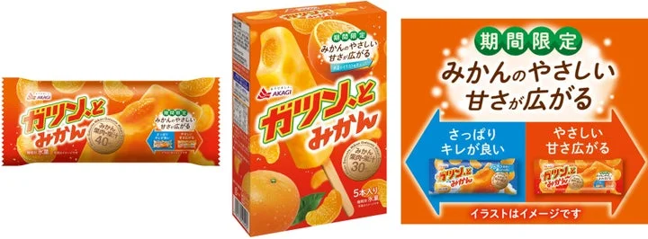 ガツン、とみかん（秋冬向け）のスティックタイプと箱タイプのパッケージ比較画像