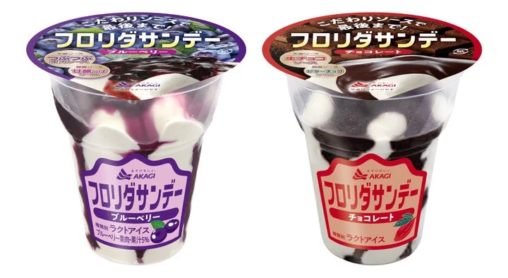 フロリダサンデーのブルーベリー味とチョコレート味のカップアイス2種