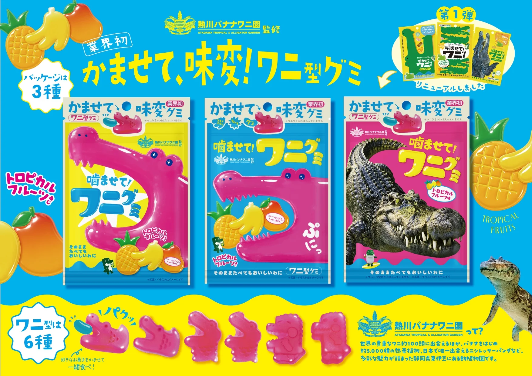 3種類の「噛ませて!ワニグミ」パッケージとグミの形状紹介