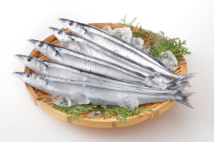ざるに盛られた新鮮な北海道産秋刀魚