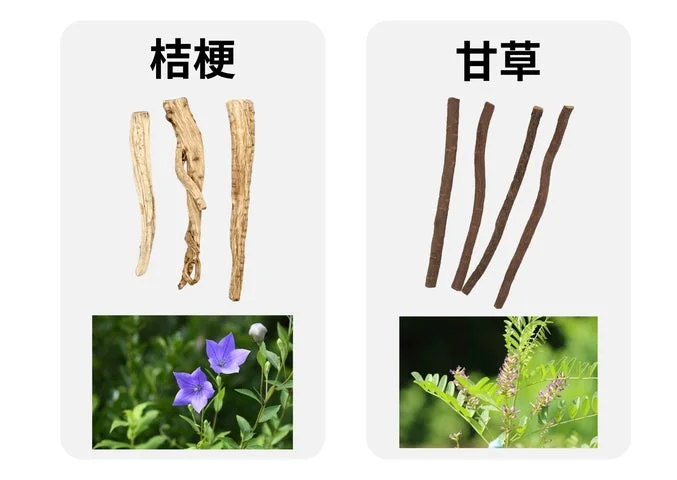 桔梗の根と花、甘草の根と花の比較画像