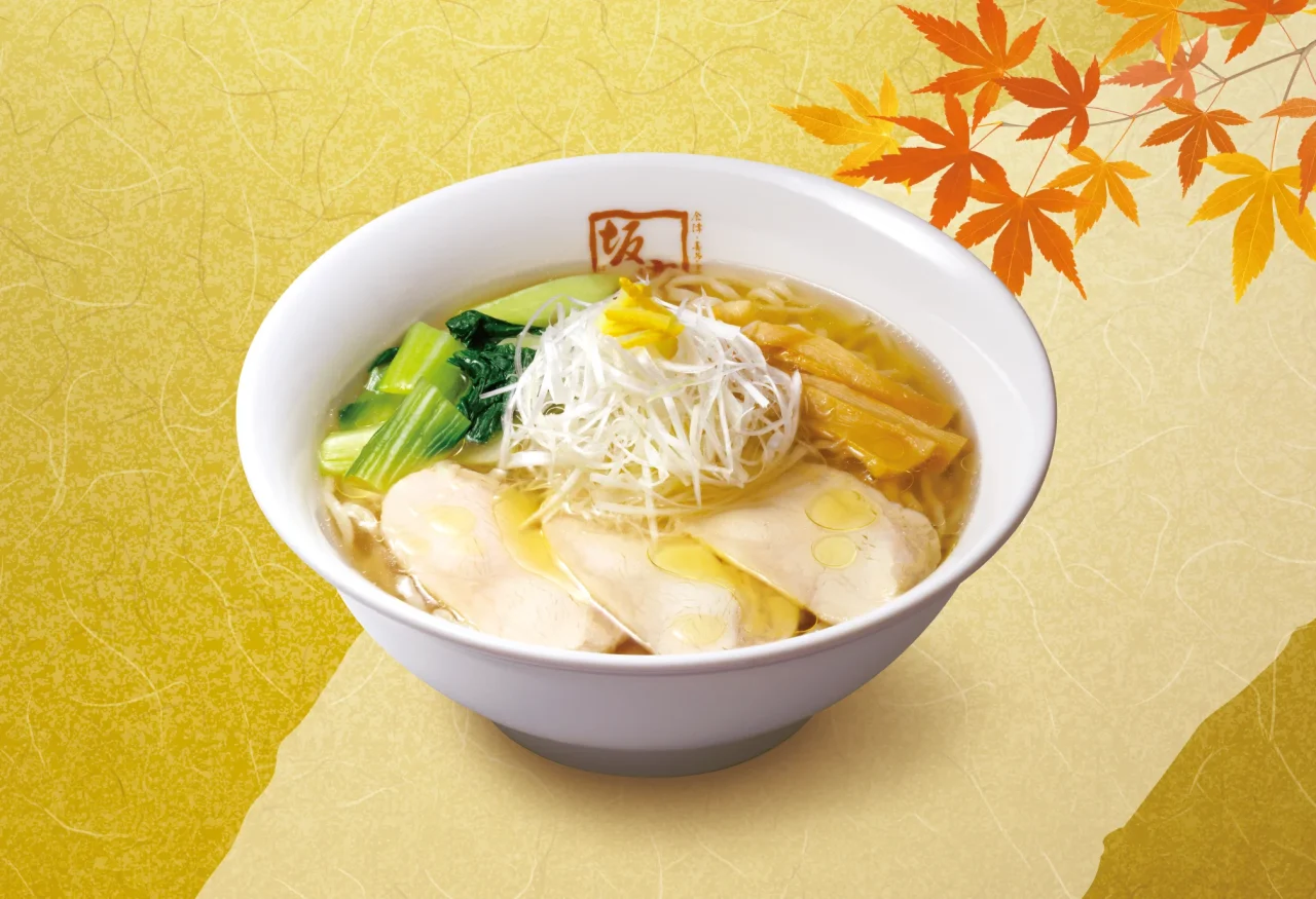淡麗鶏塩らーめんの白髪ねぎや鶏むねチャーシュー入りのスープ