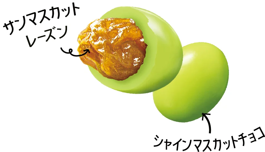 サンマスカットレーズンとシャインマスカットチョコの構造図