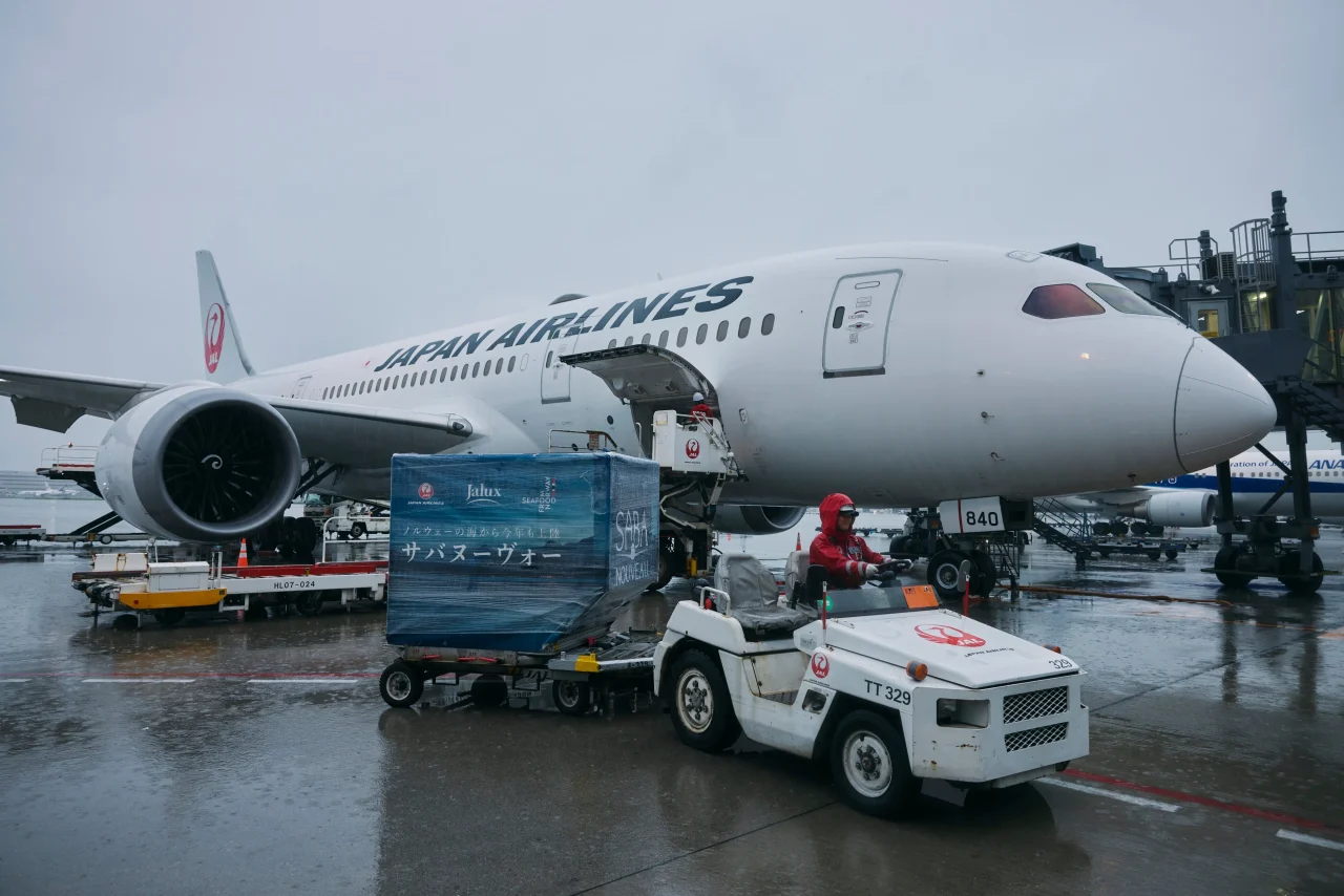 JALの航空機とサバヌーヴォーの貨物コンテナ