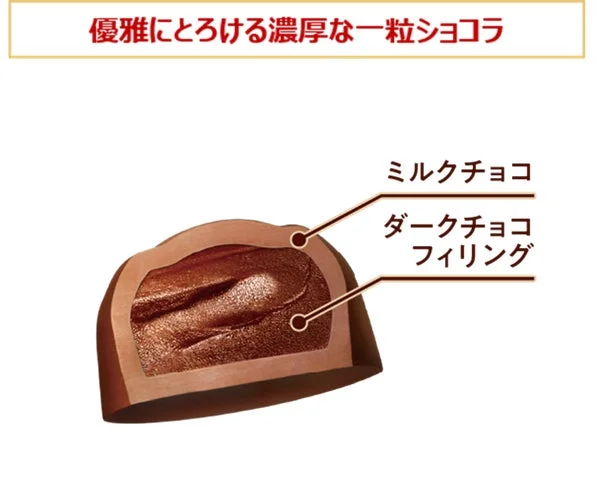 濃厚ショコラの断面図と構造