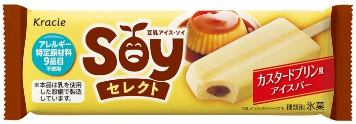 Soyセレクト カスタードプリン風アイスバーのパッケージ単体
