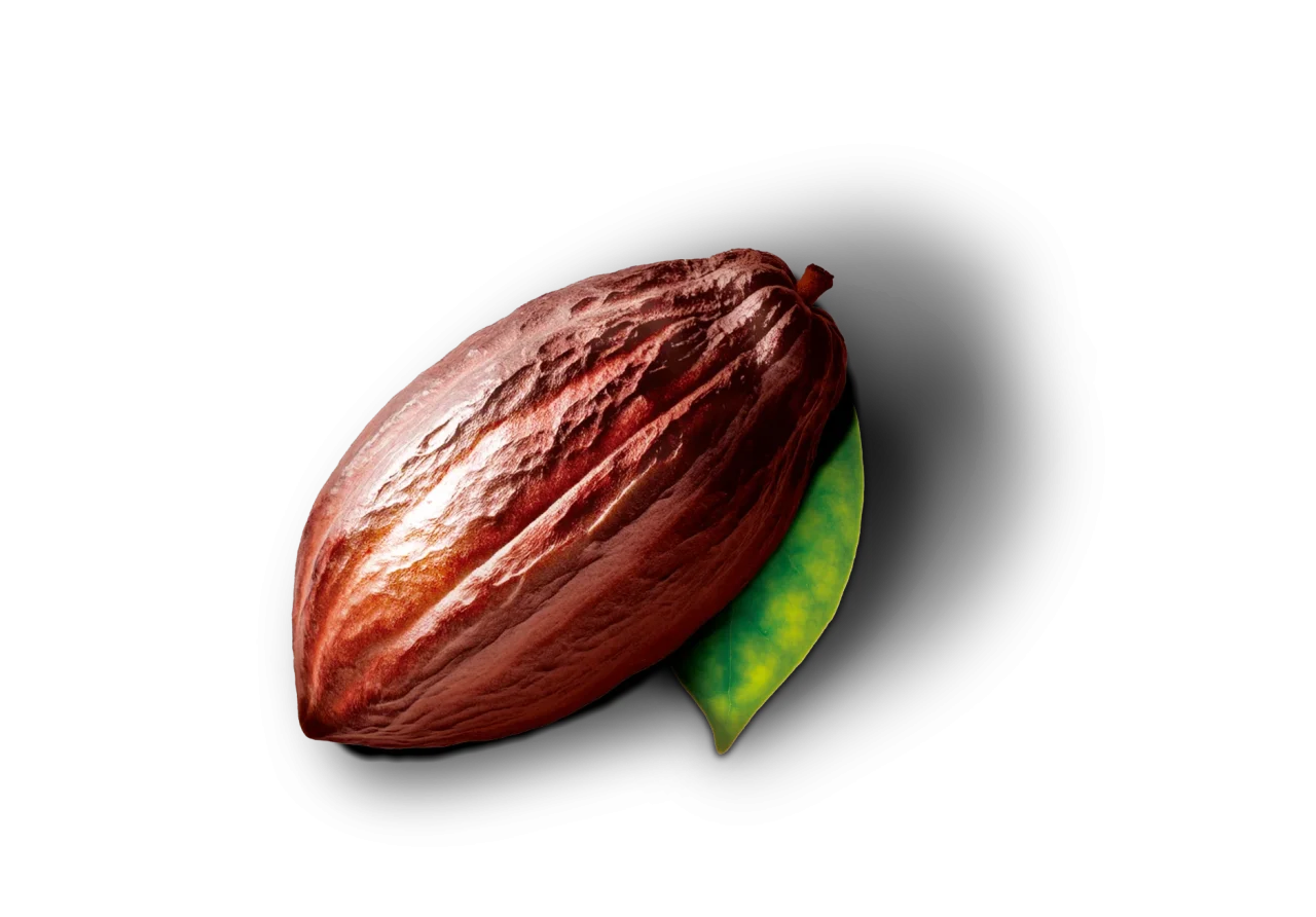 ブラックサンダーミニバーCacao72％のパッケージデザイン