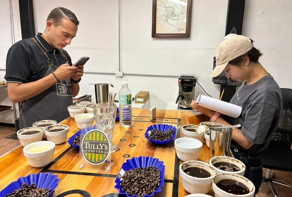 コスタリカ マイクロロットの選定作業を行う2人の人物と、テーブル上のコーヒー豆