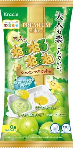 大人のねるねるねるね シャインマスカット味の製品パッケージ単体