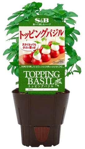 S&Bハーブ苗トッピングバジルの商品パッケージ