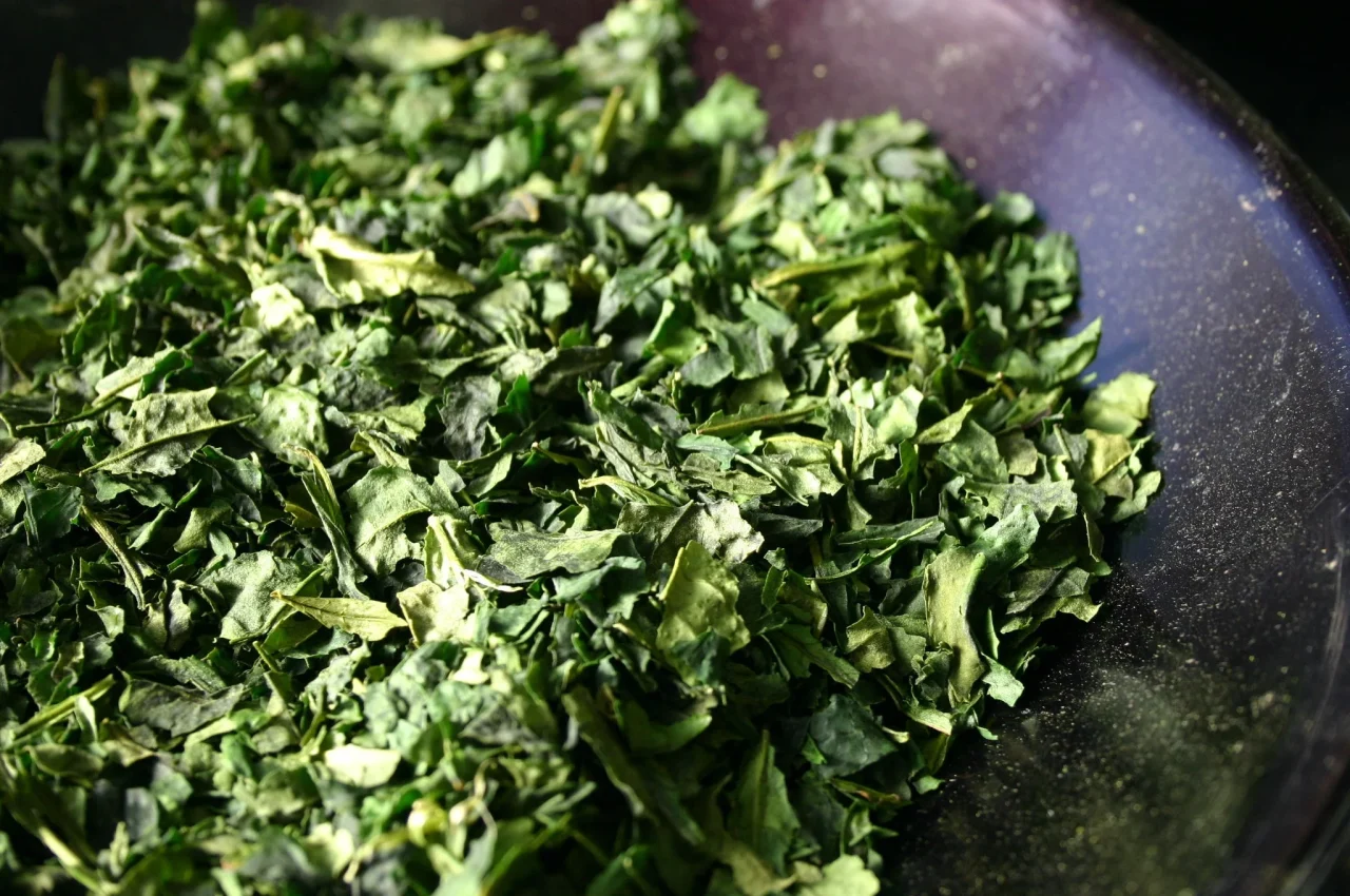 天空の抹茶®の原料となる緑色の茶葉