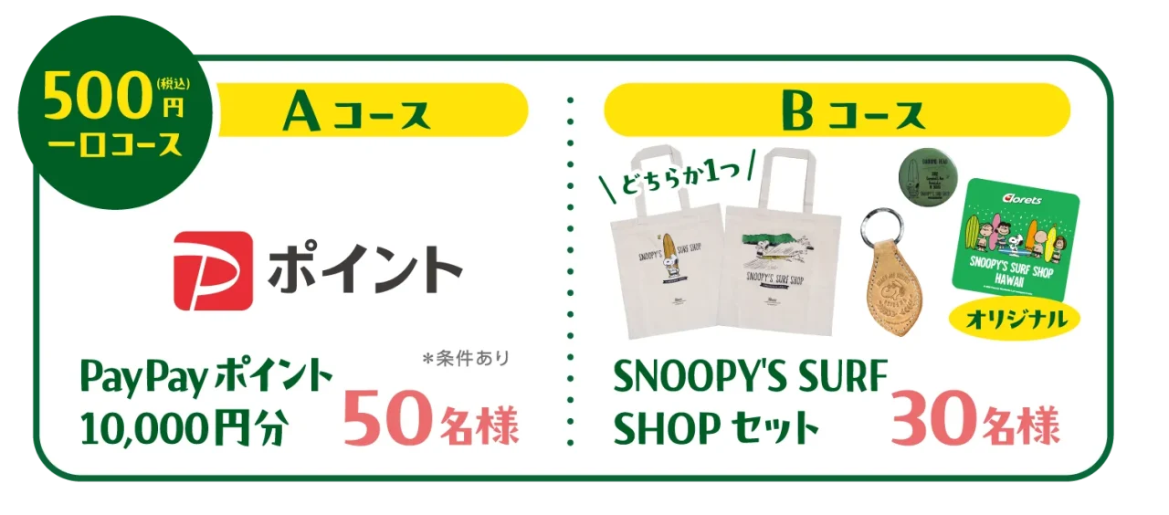 AコースのPayPayポイント10,000円分とBコースのSNOOPY'S SURF SHOPセットの賞品情報