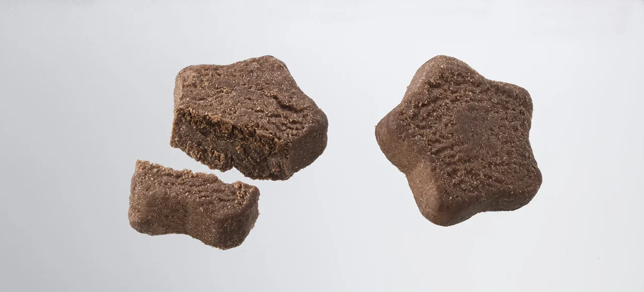 星形のオトナのチョコビ ショコラ味のアップ