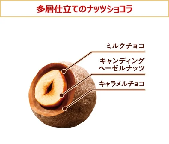 ナッツショコラの断面図と構造