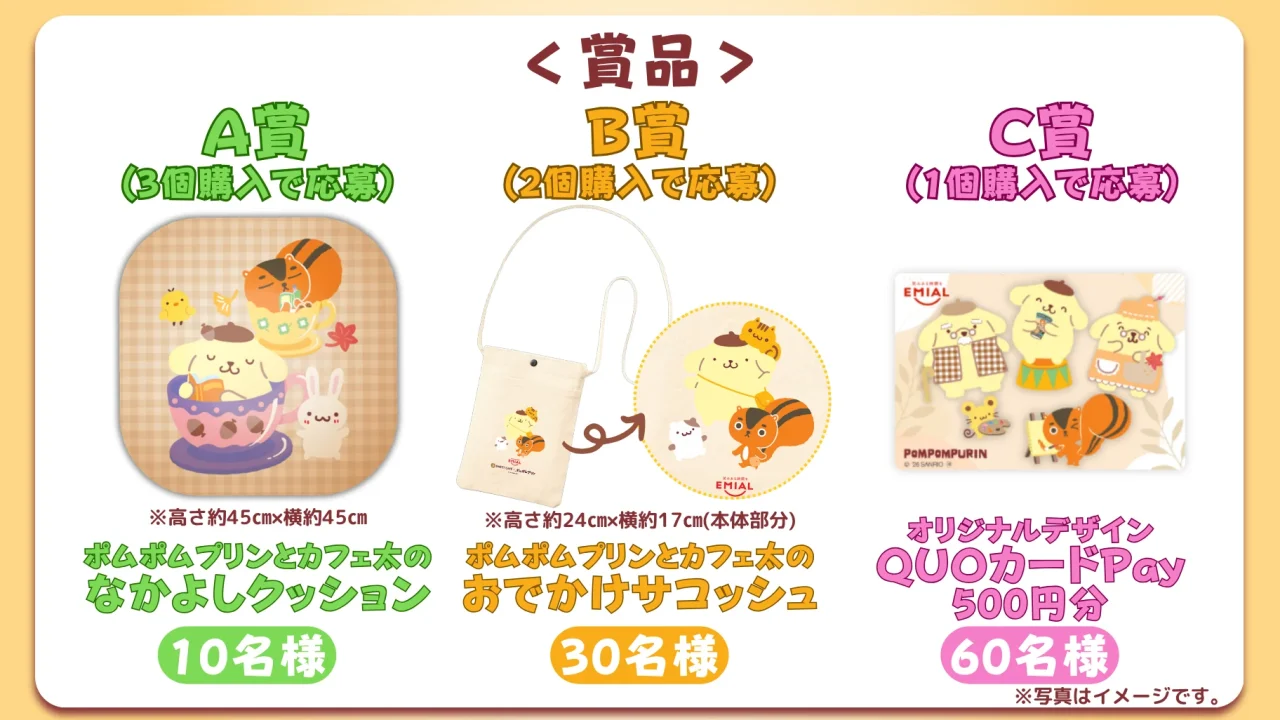キャンペーン賞品のクッション、サコッシュ、QUOカードPay