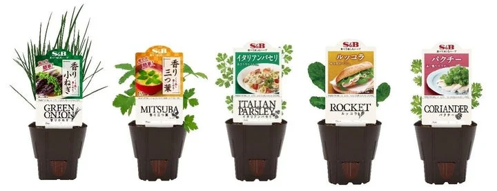 S&Bハーブ苗シリーズのラインアップ