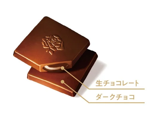 濃厚生チョコレート芳醇カカオの断面構造