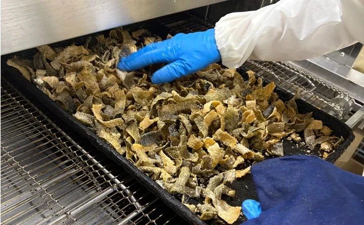 焼成されてチップ状になった青森サーモンの皮