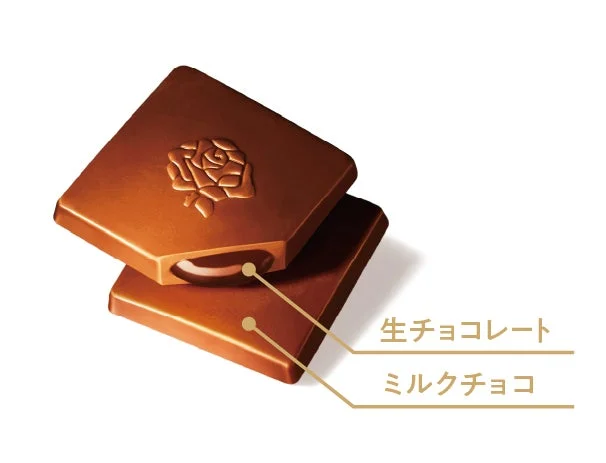 濃厚生チョコレート芳醇ミルクの断面構造
