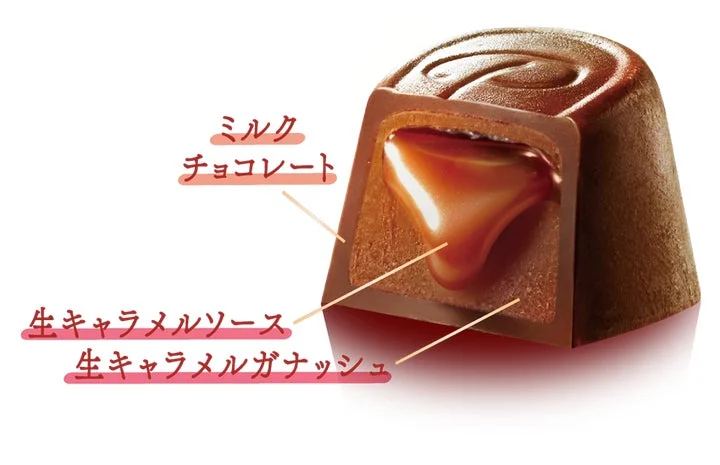 生キャラメルソースとガナッシュをミルクチョコレートで包んだ3層構造の断面図