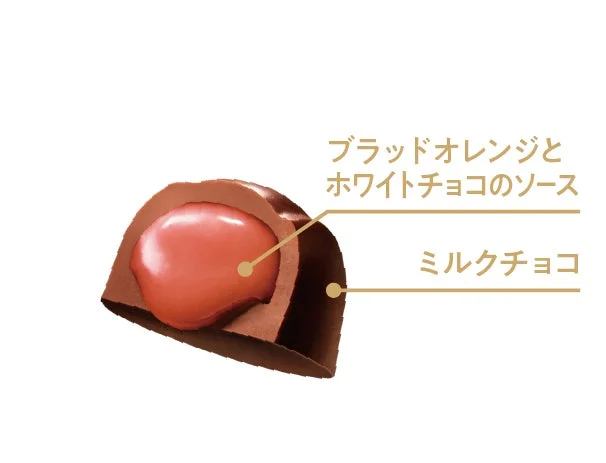 フルーツショコラ濃熟ブラッドオレンジの断面構造