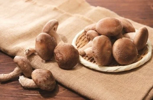 木製の小皿と麻布の上に置かれた肉厚な椎茸