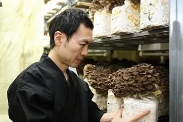 大平きのこ研究所の大平洋一さんが黒舞茸（真）の栽培環境を確認している様子