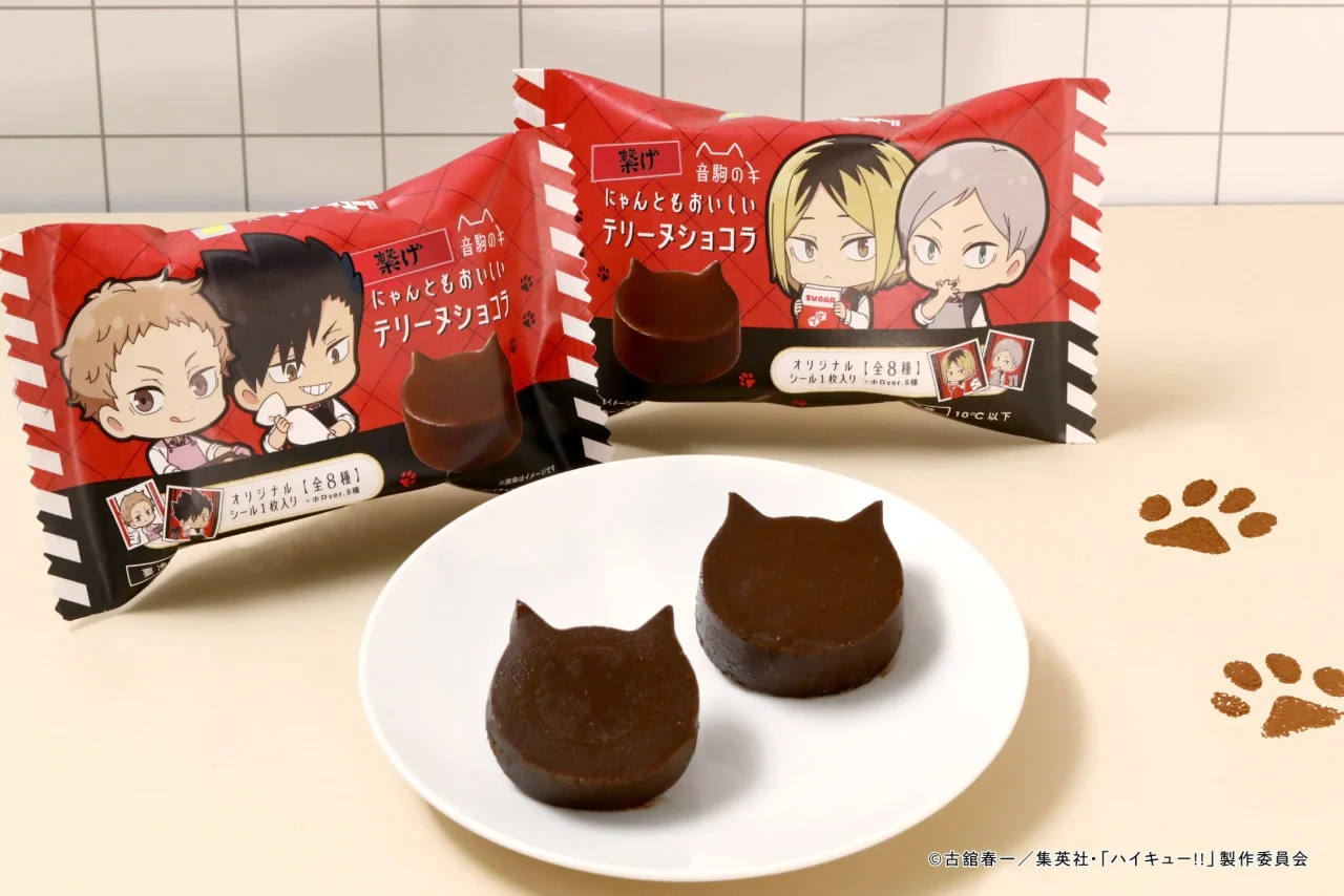 ねこの形をした「繋げ 音駒のにゃんともおいしいテリーヌショコラ」と赤いパッケージ