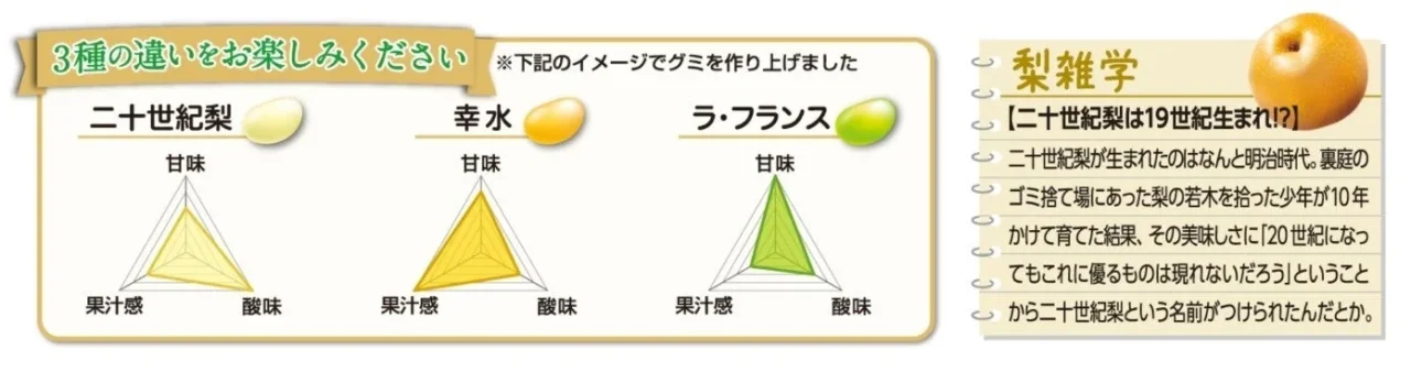 つぶグミPREMIUM濃厚梨の裏面デザイン。3種の梨の味覚グラフと梨雑学が掲載されています。