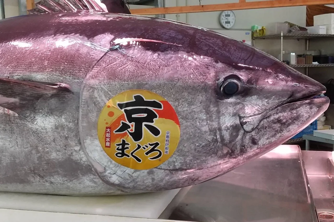 京まぐろの頭部と胴体に貼られた円形のラベル
