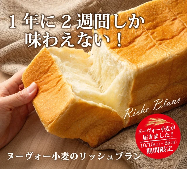ヌーヴォー小麦のリッシュブランを手でちぎり、白い生地を見せた告知画像