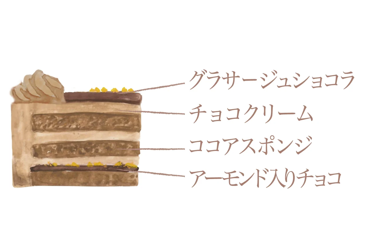 クリスマス チョコケーキ Good Nightの断面図。グラサージュショコラ、チョコクリーム、ココアスポンジ、アーモンド入りチョコの層が描かれています。