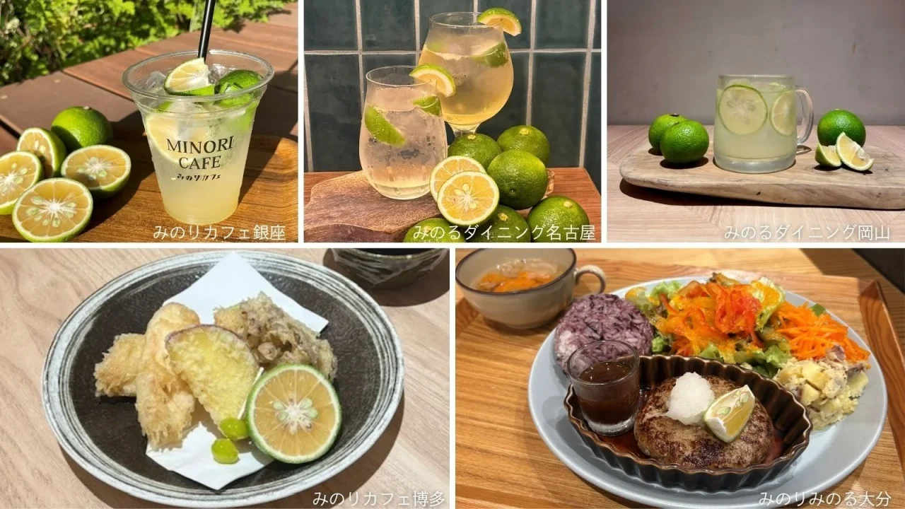 かぼすスカッシュなどの飲料と、かぼすを添えた天ぷら定食・自家製ハンバーグプレート