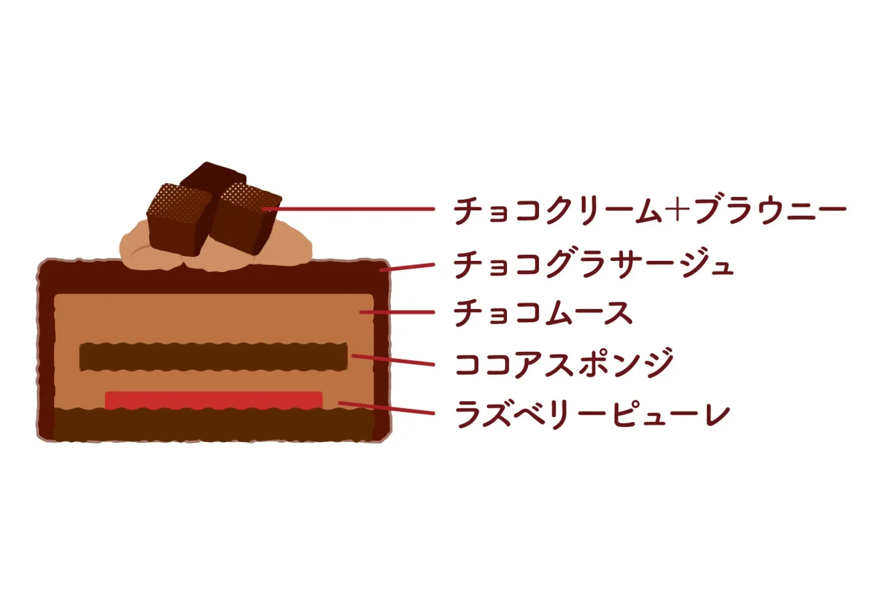 クリスマス チョコケーキの断面イラスト。層の名称を表記