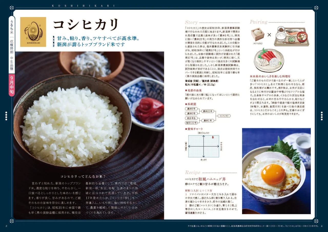 コシヒカリを紹介する冊子見開き。白米のご飯と梅干しの写真