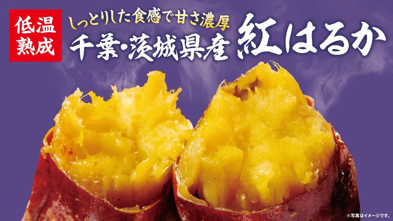 湯気の立つ半分に割った国産紅はるかの焼き芋、黄金色の断面