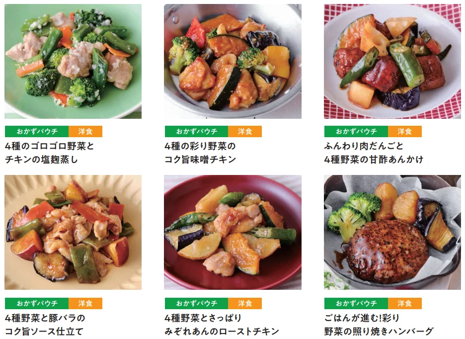 おかずパウチメニュー例。野菜と鶏肉・豚バラ・肉だんご・ハンバーグの料理6品