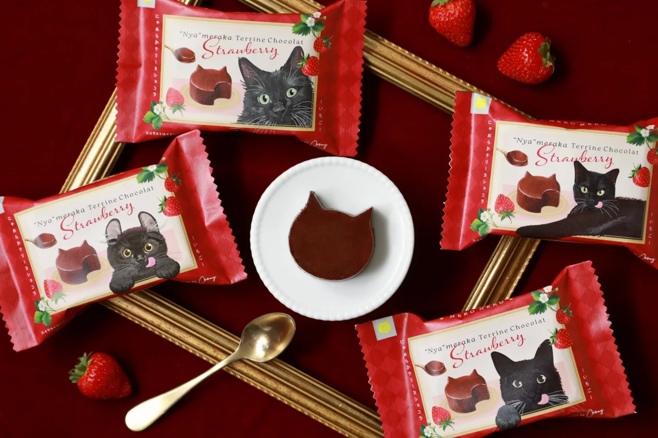 にゃめらか テリーヌショコラ～いちご～のねこ型ショコラと黒猫の赤い個包装