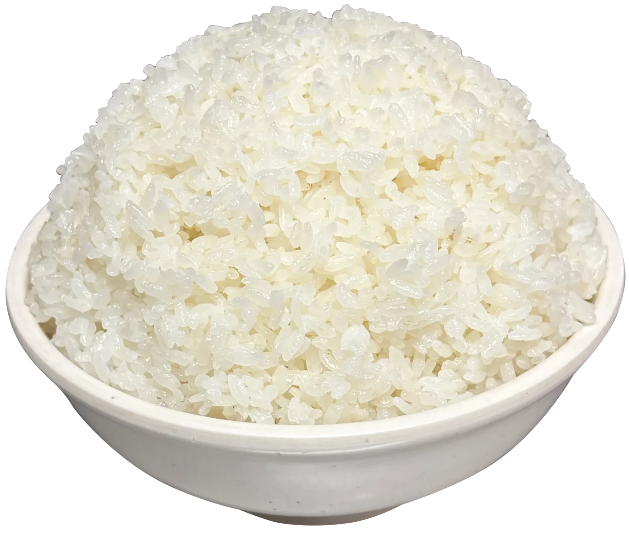 白い丼に山盛りに盛られたチョモランマ盛りライス