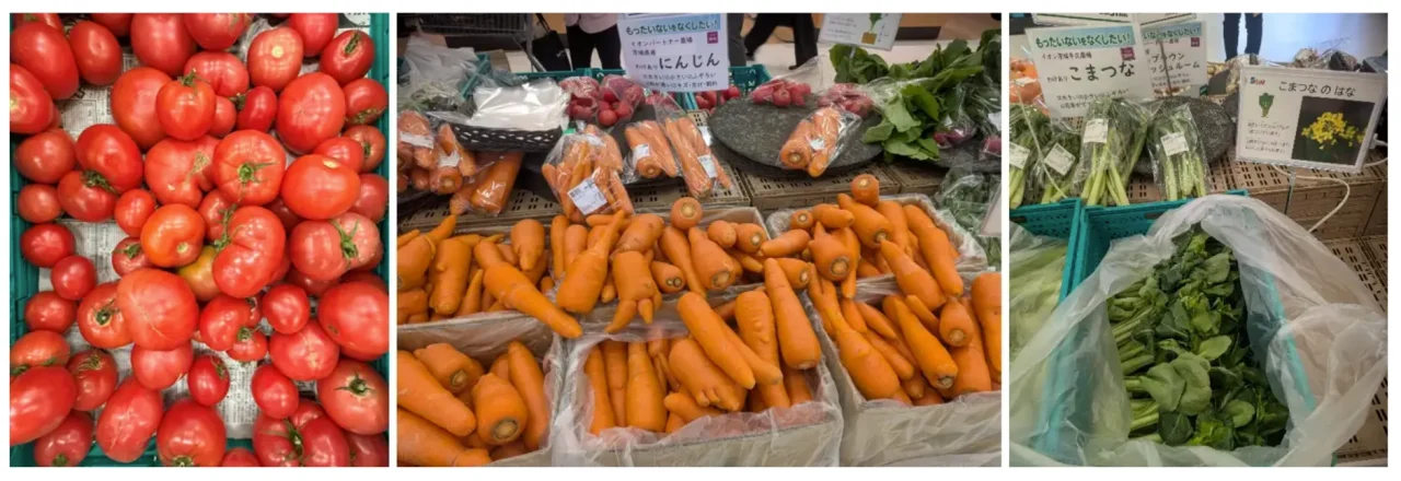 店頭に並ぶトマト、にんじん、こまつなの3枚の写真