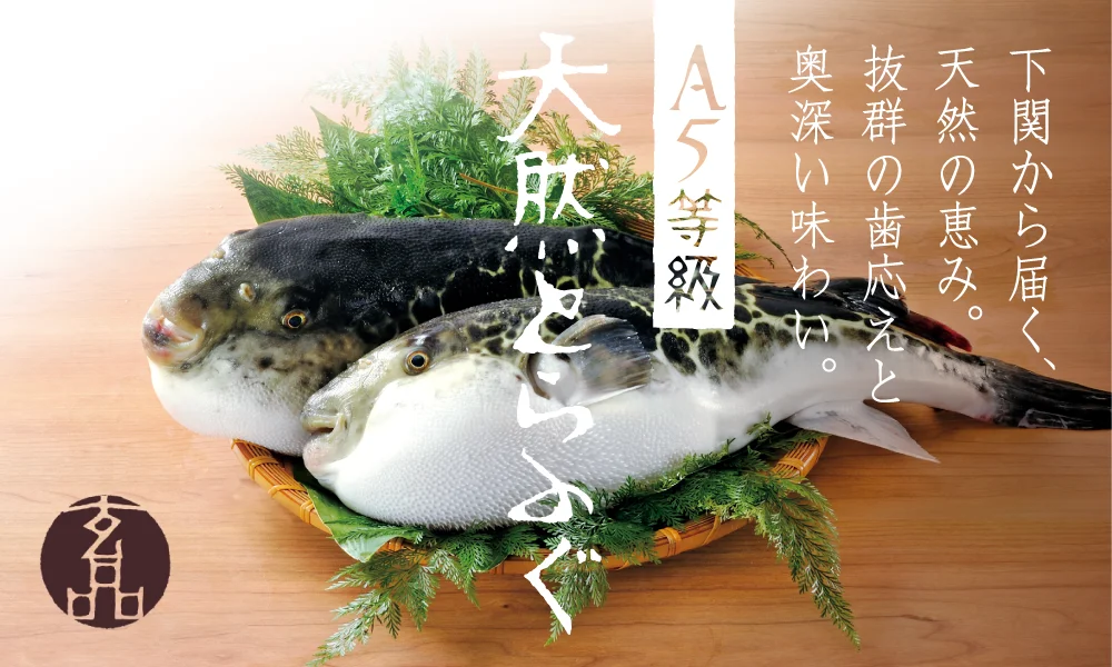 A5等級天然とらふぐ。竹かごの葉の上に並ぶ2匹のふぐと玄品ロゴ