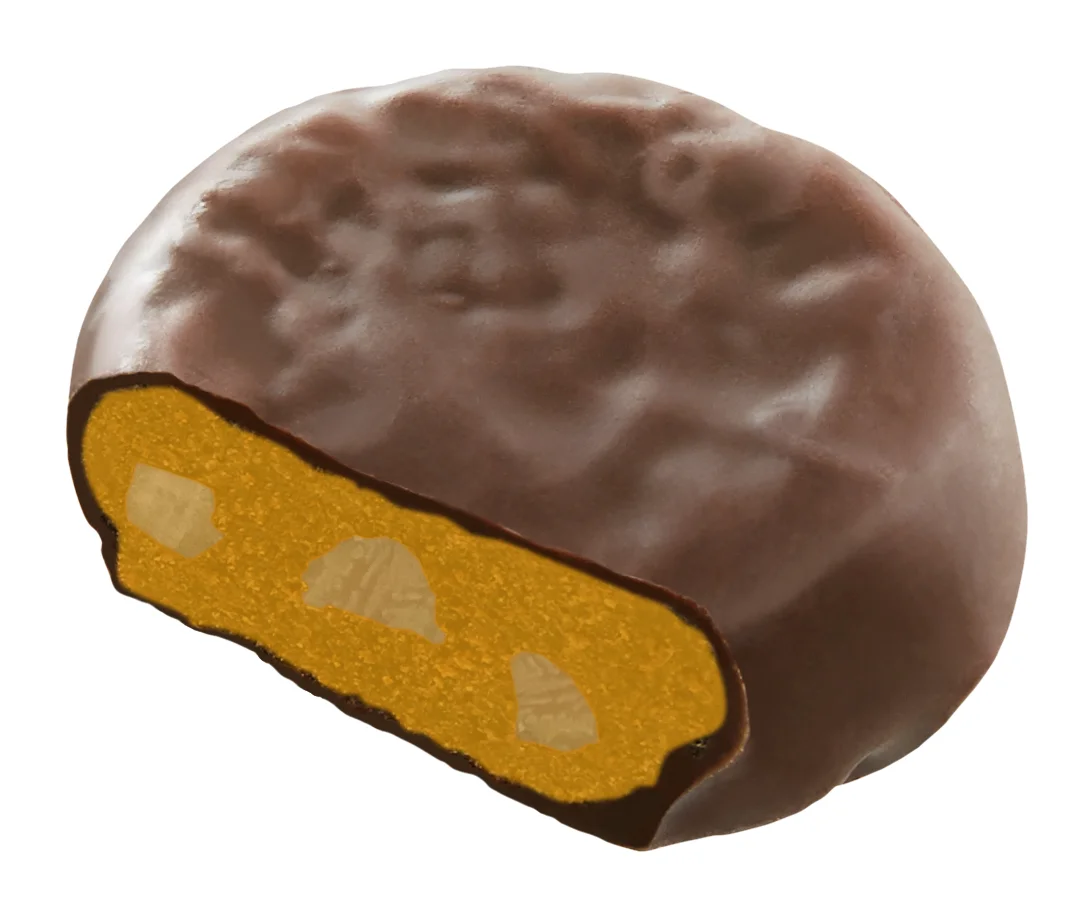 「カントリーマアムまみれさん第2回仮装大賞」の断面。チョコ被覆とオレンジの生地