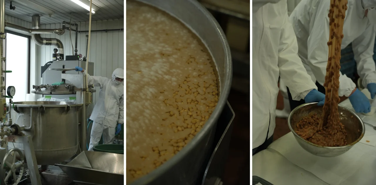 鎌倉山納豆の製造工程。大型釜、大豆の入った釜、納豆を扱う作業者