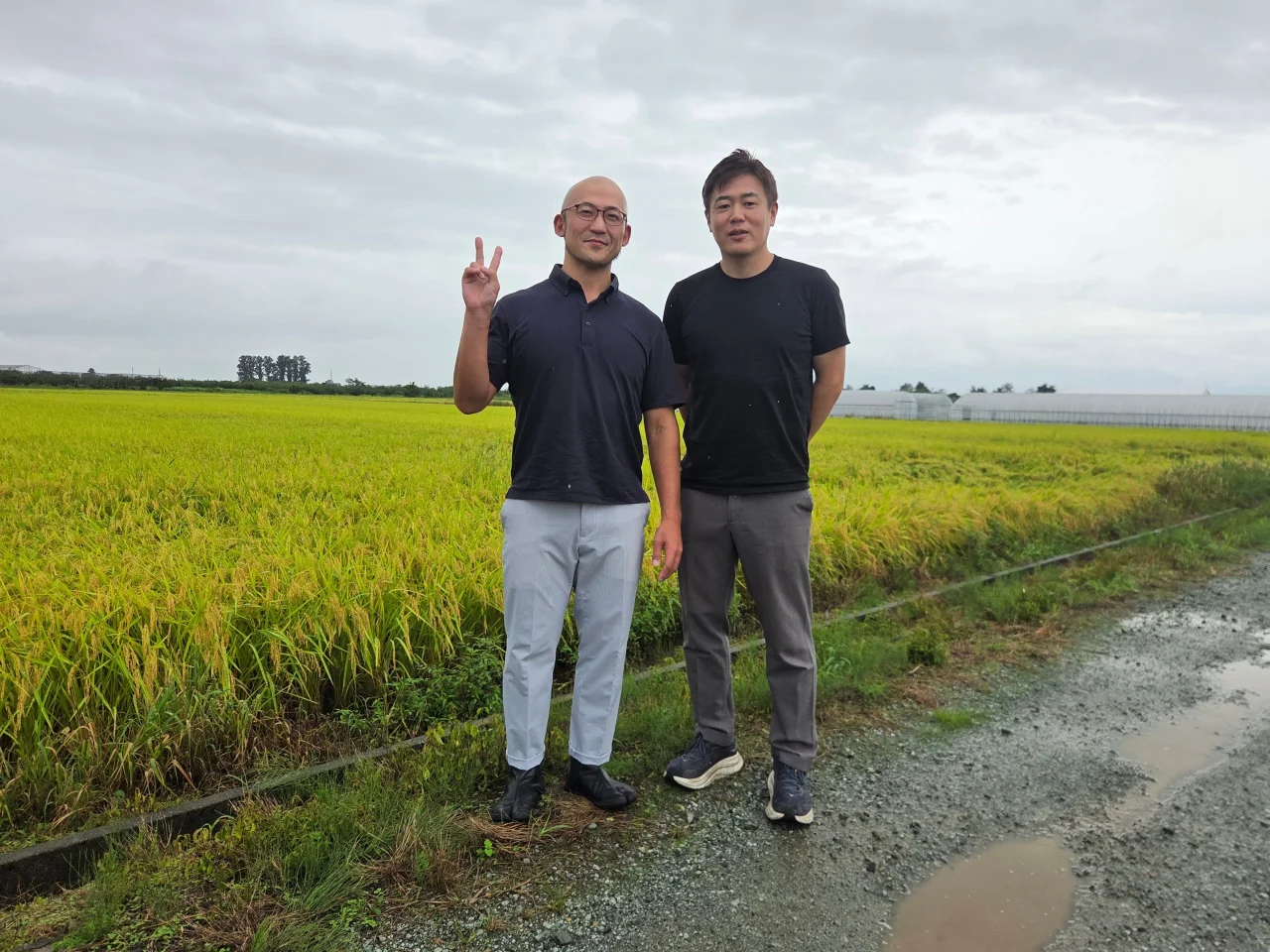 黄金色に実った田んぼの前に立つ男性2人。左はピースサイン