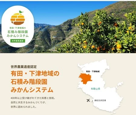 世界農業遺産 有田・下津地域の石積み階段園みかんシステム紹介