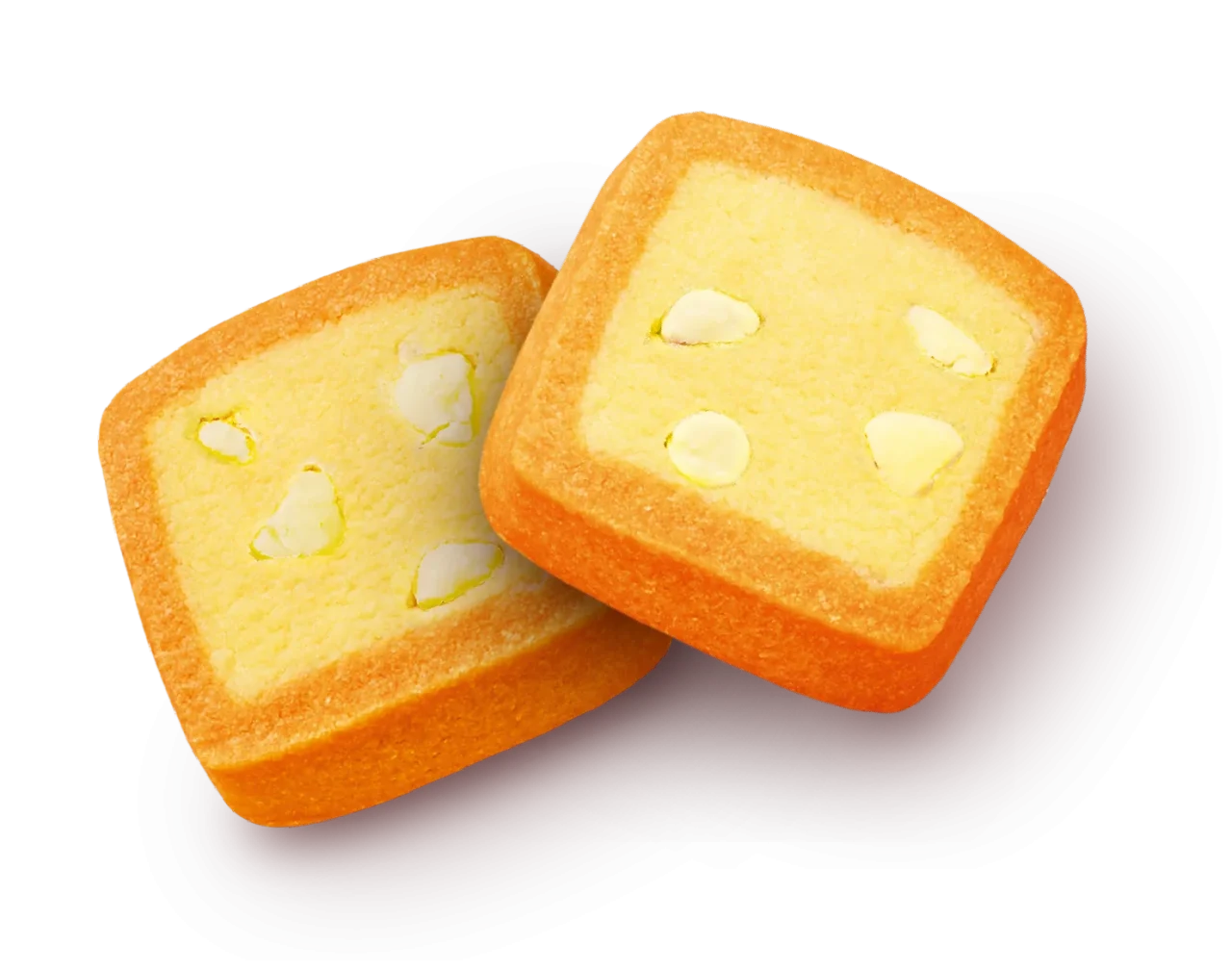 パレッティエ（静岡県産温州みかん）のオレンジ縁のクッキー2枚