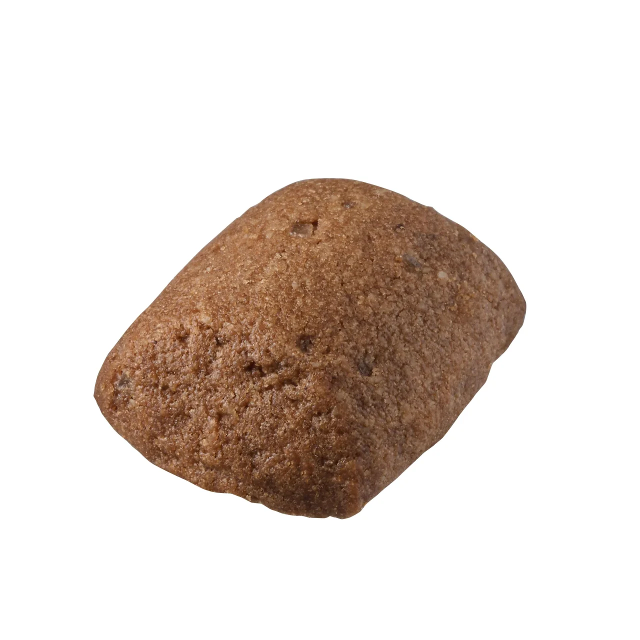 もみの木の幹クッキー（ココア）の単体。丸みのある茶色い小さなクッキー